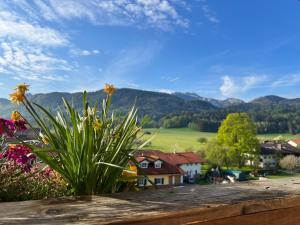una vista desde la terraza de una casa con flores en Gasthaus Kampenwand Bernau, en Bernau am Chiemsee