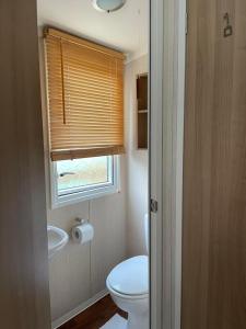 a bathroom with a toilet and a sink and a window at Swift bordeaux 24 in Dunoon +14 photos