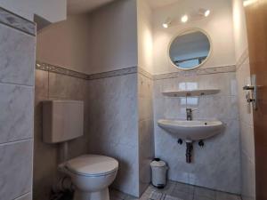 Un baño con inodoro, lavabo y espejo. en Ferienhaus Hägel, en Bad Steben 20 fotos más