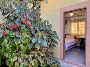 a bush with red flowers next to a bedroom at Divundu Guest House in Divundu