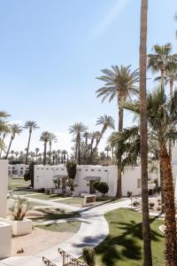 vista su un resort con palme di The Wigwam a Litchfield Park