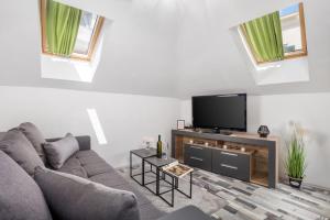 TV a/nebo společenská místnost v ubytování Apartment Palach