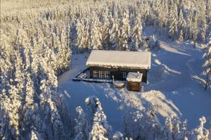 Vaade majutusasutusele Cabin with sauna in Trysil linnulennult