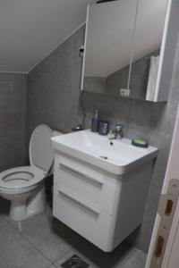 a bathroom with a white sink and a toilet at Murtovina Podgorica in Podgorica