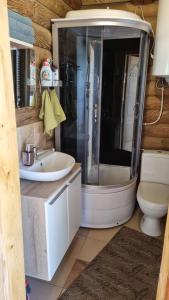 a bathroom with a shower and a sink and a toilet at Camping Oskalns in Cēsis