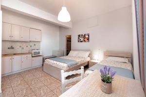 1 dormitorio con 2 camas y cocina con mesa en Panorama Rooms, en Anafi