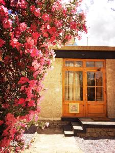 Lchang Nang Retreat-THE HOUSE OF TREES-Nubra Valley外面的花园