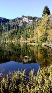 Paesaggio naturale nelle vicinanze dell'appartamento
