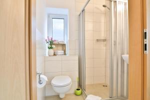 een badkamer met een toilet en een douche bij Hotel JUMAs in Bad Zwischenahn