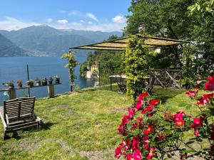 Táj Show holiday homes közelében