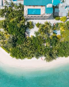 an aerial view of a tropical island in the ocean at Season Paradise in Thulusdhoo