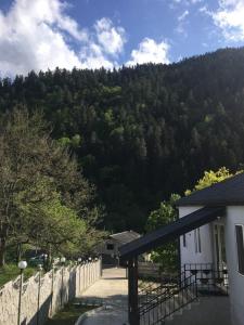 Pemandangan gunung umum atau pemandangan gunung yang diambil dari hotel