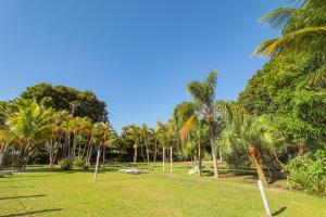 a park with palm trees on a sunny day at A Ilha Verde Hotel Pousada na Praia in Ilha do Mel
