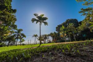 Zahrada ubytování A Ilha Verde Hotel Pousada na Praia