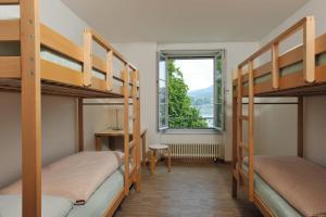 Richterswil Youth Hostel 객실 이층 침대