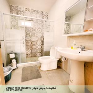 uma casa de banho com um WC, um lavatório e um chuveiro em Jerash Hills Farm & Chalets em Gérasa