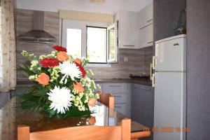 Kuchyň nebo kuchyňský kout v ubytování Istron MiraBella Villas