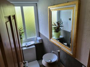 a bathroom with a toilet and a mirror at Family's Nest Chiemsee in Chieming