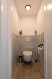 a bathroom with a white toilet in a room at Holiday Home 't Hout in Westkapelle