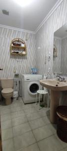 a bathroom with a toilet a sink and a washing machine at Apartamentos El Sol in Potes
