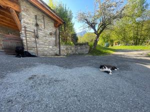 Ospiti di Chalet Lo Queur di Mont Blanc con animali domestici