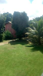 um jardim verde com uma casa e uma palmeira em Villas Resort Pra-tagy Relais Paradise em Maceió