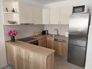 Kuchyň nebo kuchyňský kout v ubytování Apartment Frana DeLux