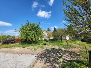 a yard with trees and a dirt road at Villa 10 pers à 6min du pal in Saint-Pourçain-sur-Besbre