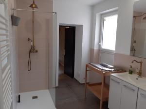 a bathroom with a shower and a sink and a mirror at Villa 10 pers à 6min du pal in Saint-Pourçain-sur-Besbre