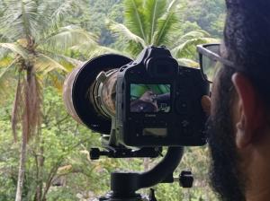 Zahrada ubytování Riverbench Homestay Munnar, Anaviratty