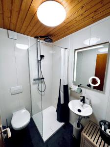 ein Bad mit einer Dusche, einem WC und einem Waschbecken in der Unterkunft Hôtel Restaurant Les Cernets Swiss-Lodge SSH in Les Verrières