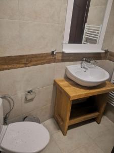La salle de bains est pourvue d'un lavabo, de toilettes et d'un miroir. dans l'établissement ArdoHill Hotel and Restaurant, à Sarnitsa