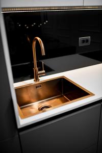 Kuchyňa alebo kuchynka v ubytovaní Sigma Exclusive Apartment