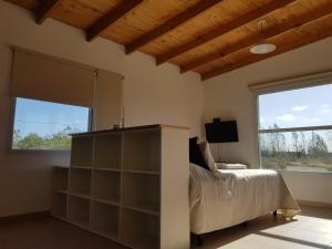 1 dormitorio con cama y ventana grande en Coralillos en Puerto Madryn