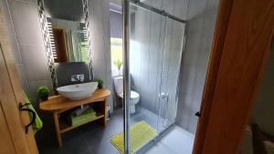 a bathroom with a shower with a sink and a toilet at Deeside Holiday Cottages in Dinnet