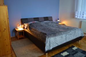 1 dormitorio con 1 cama grande y 2 mesitas de noche en Pravouhla, en Praga