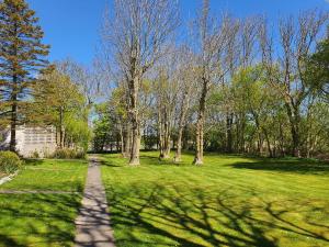 a path in a park with trees and grass at Ferienwohnung Abendsünn in Nordstrand