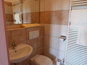 a bathroom with a toilet and a sink at Waldhaus Colditz Garni in Colditz