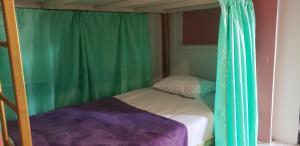 ピピ島にあるLucky Dormの緑のカーテンが備わる客室の小さなベッド1台分です。