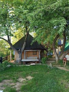 ヴィソコにあるBungalows Old Townのピクニックテーブルと木々のあるログキャビン