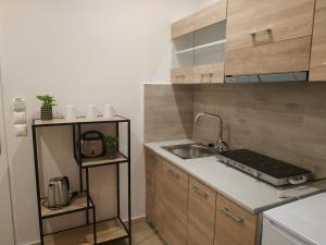 Elthimia's apartment tesisinde mutfak veya mini mutfak