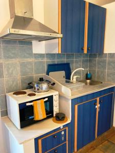 Η κουζίνα ή μικρή κουζίνα στο Andros Studios Tetrafylli