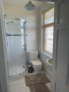 a bathroom with a shower and a toilet and a sink at Upton Cross B&B in Bude