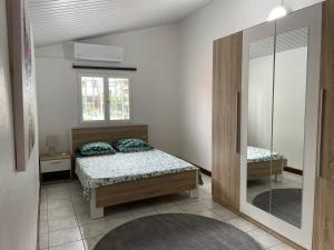 - une chambre avec un lit et un miroir dans l'établissement SPACIEUX T5, à Kourou