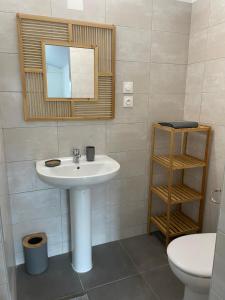 y baño con lavabo, espejo y aseo. en SPACIEUX T5, en Kourou
