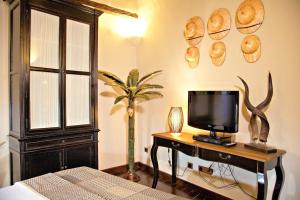 1 dormitorio con escritorio, TV y planta en Casa Pinto en Monsaraz