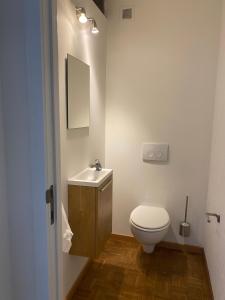 a bathroom with a toilet and a sink and a mirror at Vakantiewoning Wurfeldermolen in Maaseik