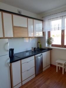Kuchyňa alebo kuchynka v ubytovaní Apartament nad Jeziorakiem