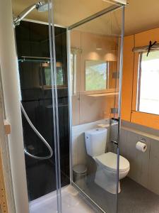 a bathroom with a toilet and a glass shower at Lodge Friesland in Grou