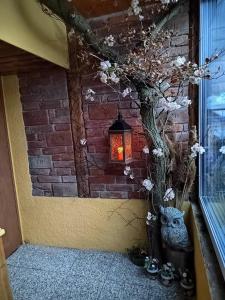 Fotografia z galérie ubytovania U Vodníka v destinácii Mohelnice